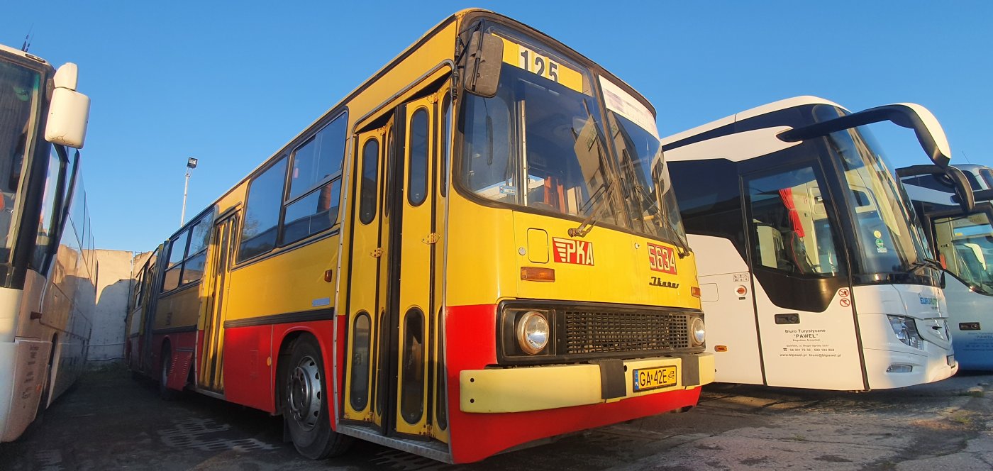 Ikarus uczci 60 lat funkcjonowania linii 125 // fot. ZKM Gdynia