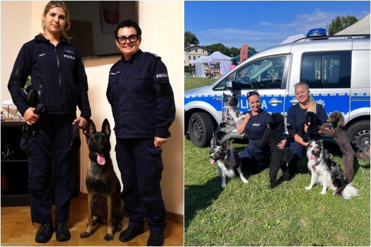 Na zdjęciu po lewej: Zimi pozuje do zdjęcia razem z szefową Komendy Miejskiej Policji w Gdyni mł. insp. Beatą Nienadowską oraz swoją przewodniczką mł. asp. Adrianną Lipiszko. Po prawej: policjantki na co dzień zajmujące się profilaktyką społeczną na Pikniku Psów Adoptowanych w „Ciapkowie” (fot. KMP Gdynia)