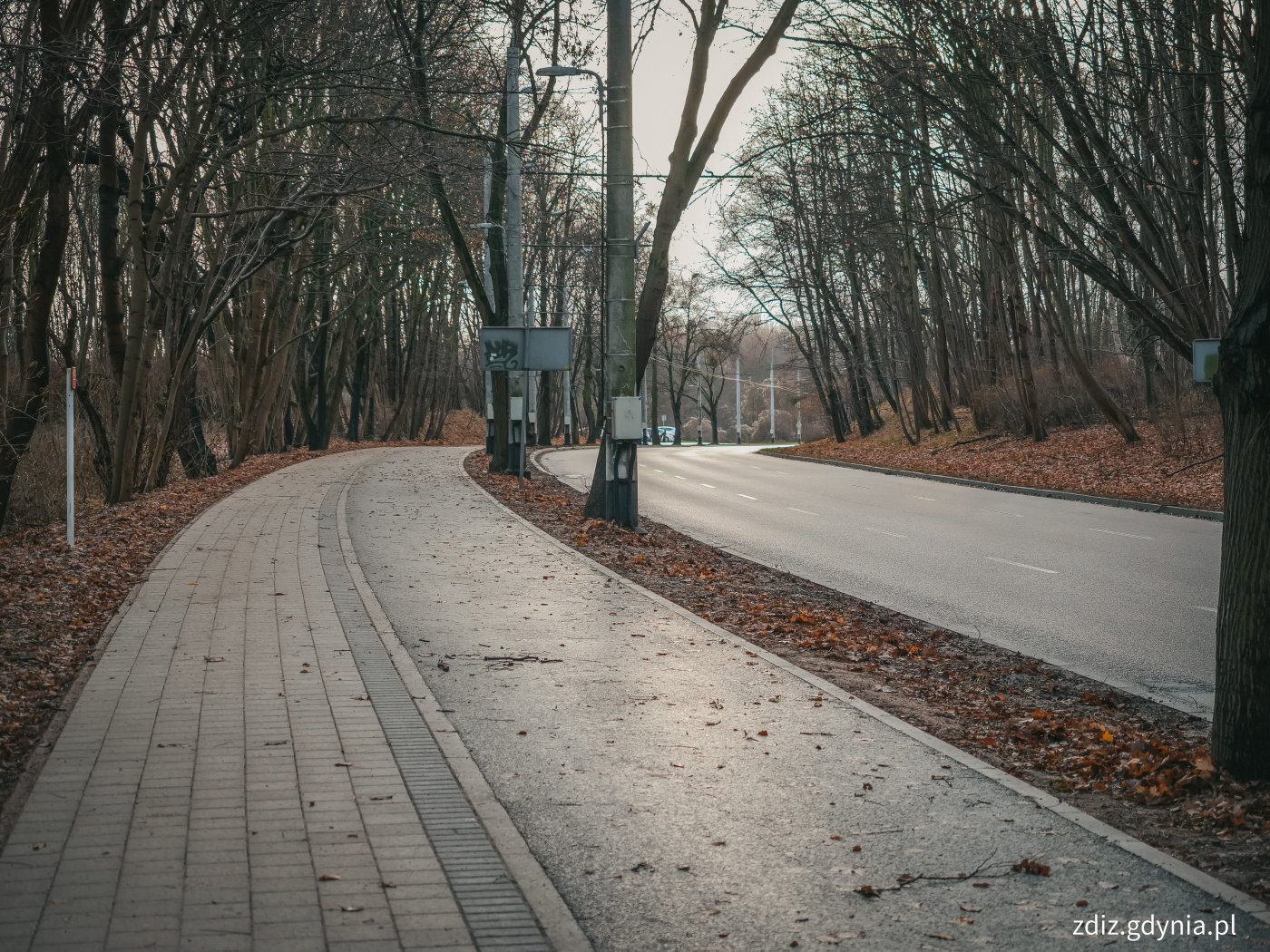 widok na ścieżkę rowerową oraz chodnik. W tle drzewa i jezdnia