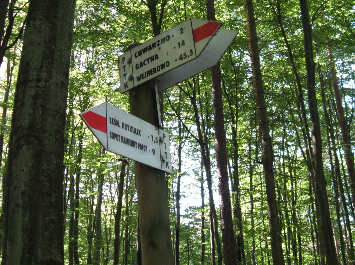 Szlak Wejherowski, kierunkowskazy w lesie