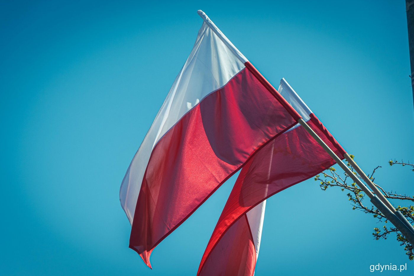 Flagi państwowe przyozdobią miasto z okazji majowych świąt // fot. Kamil Złoch