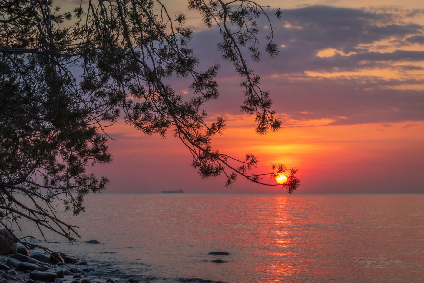 Wschód słońca w Gdyni. Pomarańczowo-niebieskie niebo, po lewej stronie drzewo, na dole kadru widać kawałek plaży oraz morze. fot. Katarzyna Kujawska (zdjęcie z grupy FB 