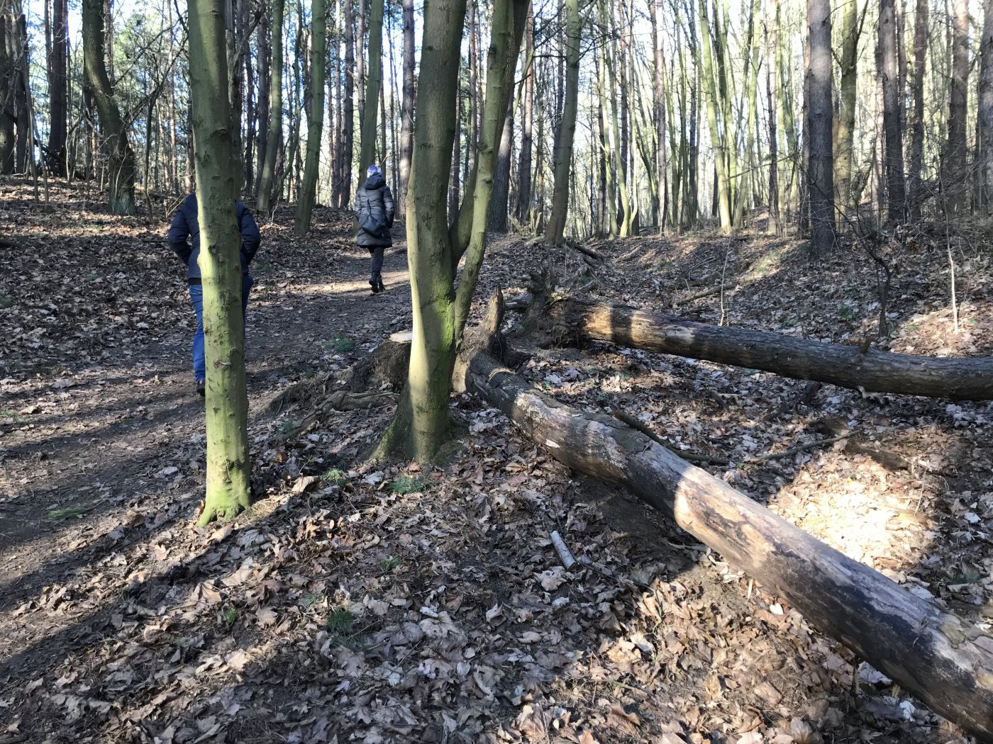 Między ul. Żeglarzy a planowaną ul. Nową Zieloną powstanie bezpieczne i wygodne przejście, które scali Oksywie // fot. LIS