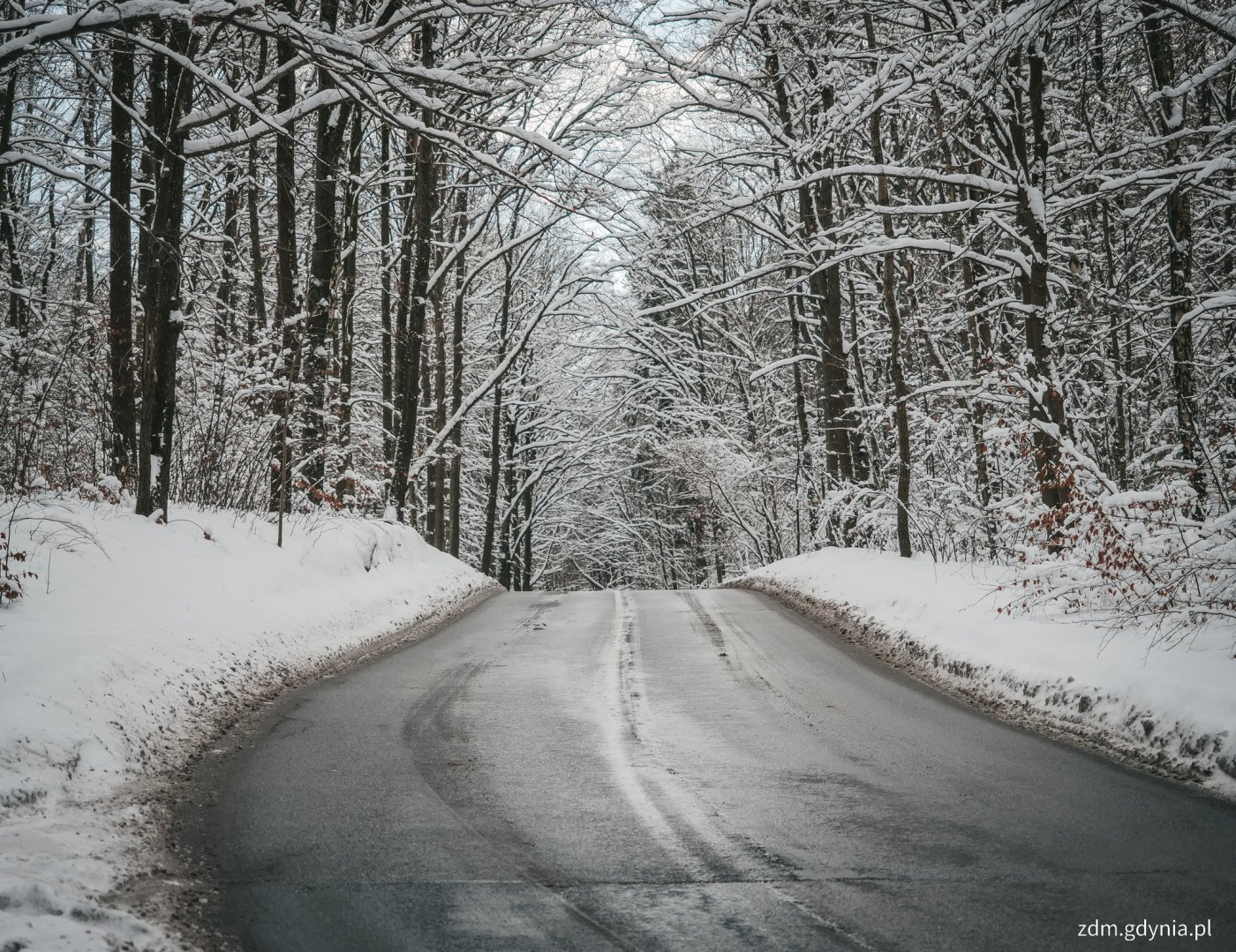 Odśnieżona i zabezpieczona jezdnia ul. Wiczlińskiej w zimowej scenerii (fot. Marcin Mielewski)