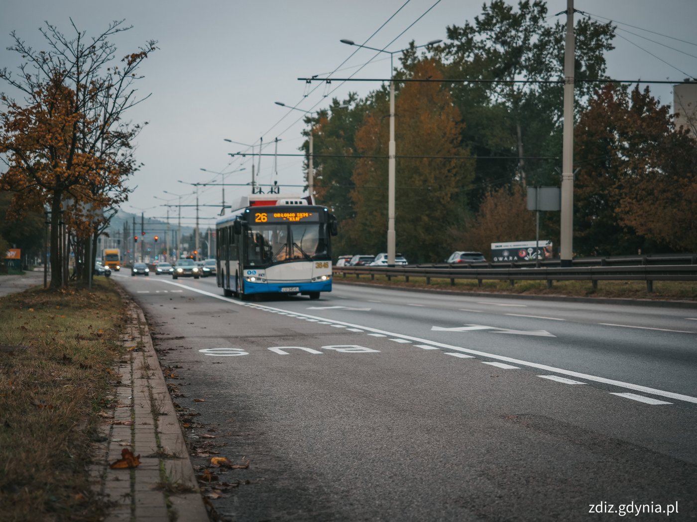 autobus na buspasie, jezdnia, ruch uliczny