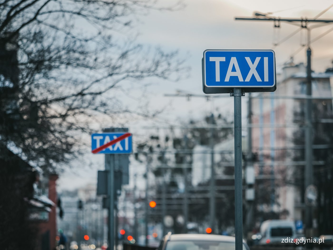 tabliczki, oznakowanie postoju taxi, w tle ruch uliczny