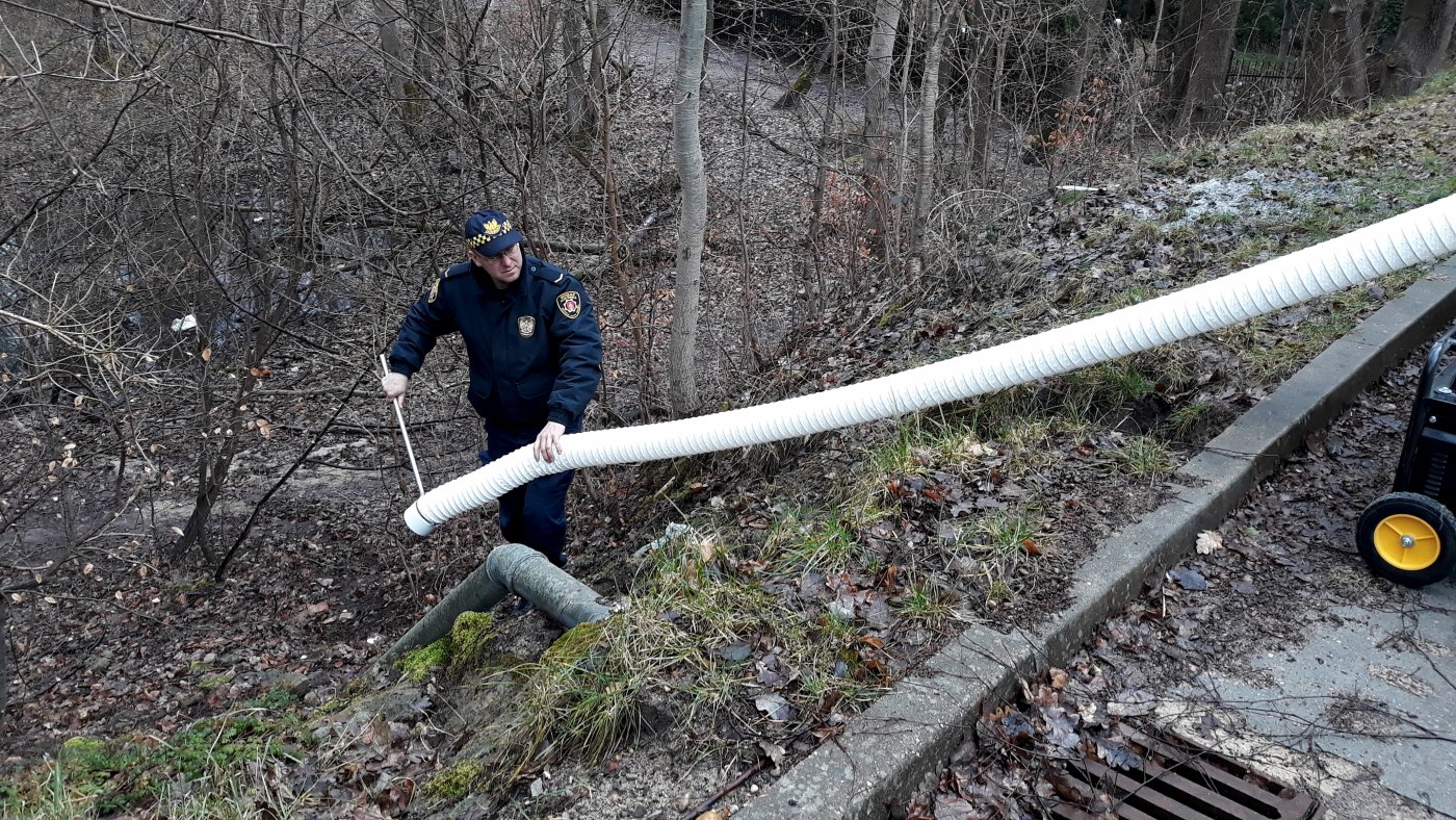 fot. materiały Straży Miejskiej w Gdyni