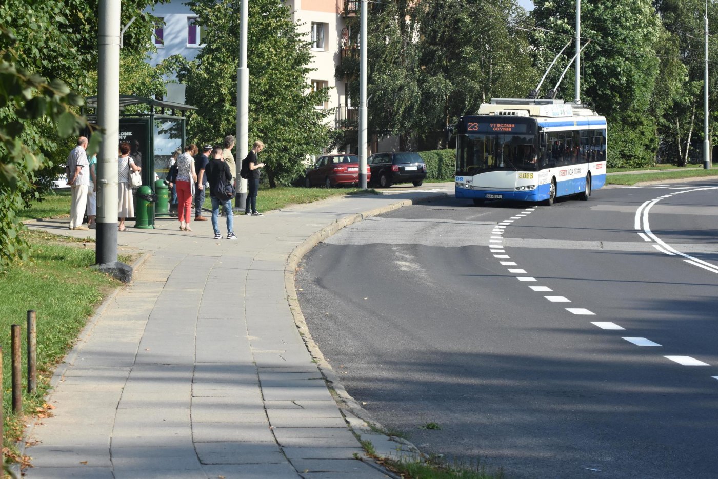 Zmodernizowany zostanie m.in. przystanek Kameliowa na Dąbrowie // fot. Lechosław Dzierżak