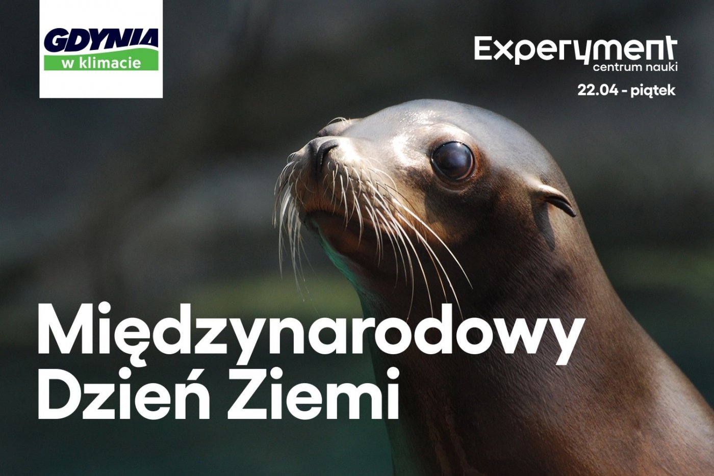 Obrazek przedstawia zdjęcie foki. Z przodu duży, biały napis 