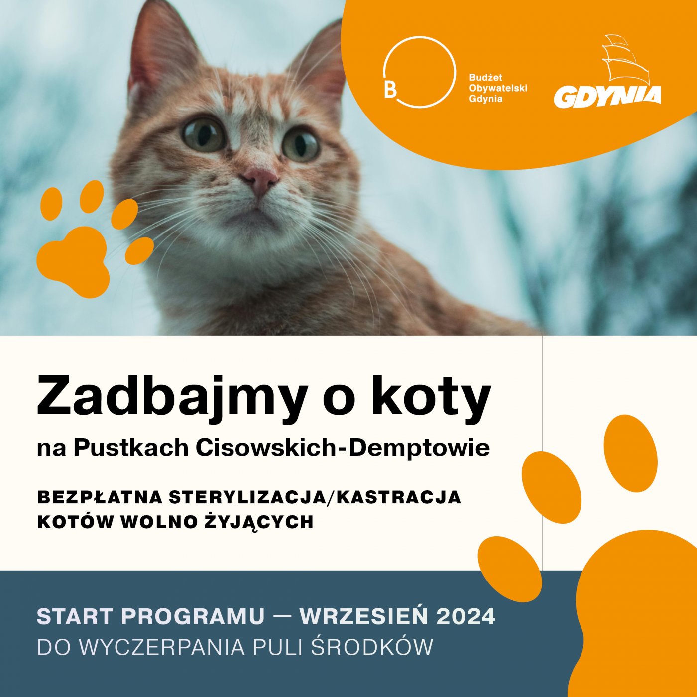 grafika projektu BO Pustki Cisowskie-Demptowo (fot. materiały Wydziału Środowiska)