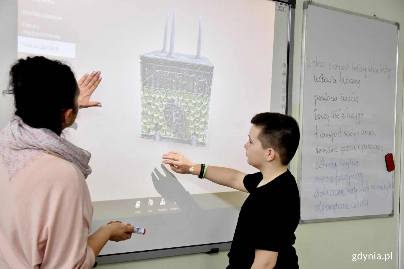 Zajęcia z wykorzystaniem aplikacji 3D prowadzone są w 23 gdyńskich szkołach podstawowych, fot. Jan Ziarnicki