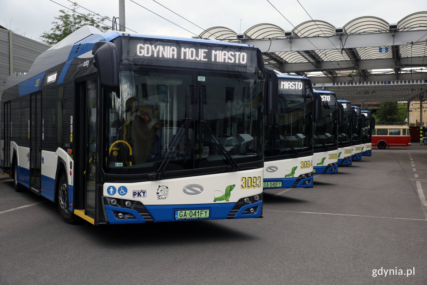 Sześć nowych Solaris Trollino 12 Electric - supertrolejbusów, które pojadą bez spalin na północ Gdyni, fot. Przemysław Kozłowski