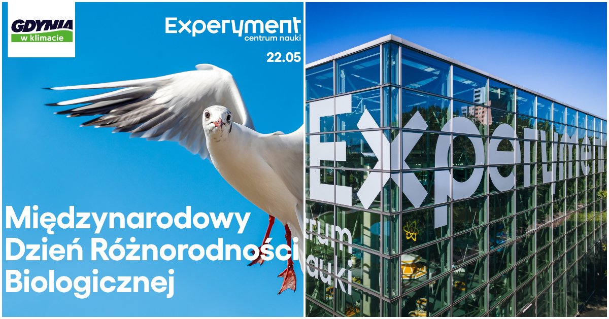 Międzynarodowy Dzień Różnorodności Biologicznej w Experymencie. Źródło: CNE