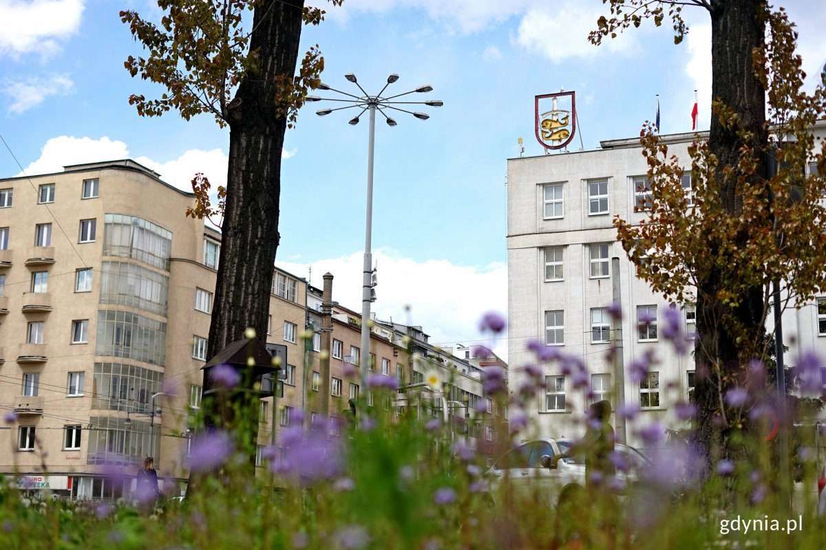 Zdjęcie łąki kwietnej na tle Urzędu Miasta Gdynia //fot. gdynia.pl