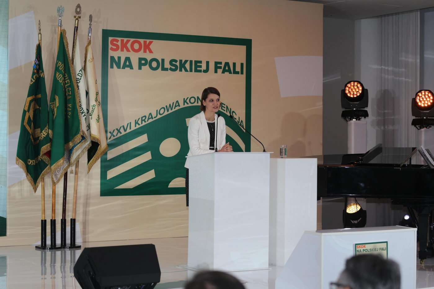 W konferencji uczestniczyła wiceprezydent Gdyni Katarzyna Gruszecka-Spychała // fot. Artur Ceyrowski
