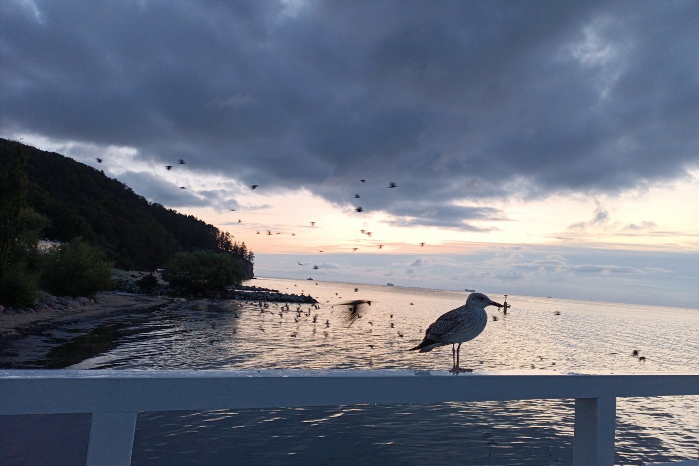 Chmury zbierają się od świtu nad Gdynią. Zdjęcie z 2 sierpnia. Fot. Agata Matczak / Gdynia w obiektywie