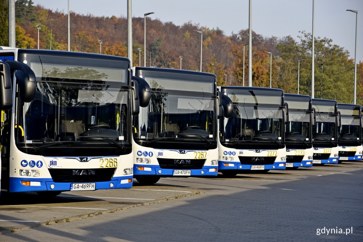 Uległ zmianie rozkład jazdy ZKM Gdynia w okresie Wszystkich Świętych. Na zdj. gdyńskie autobusy stojące w zajezdni, fot. Paweł Kukla.