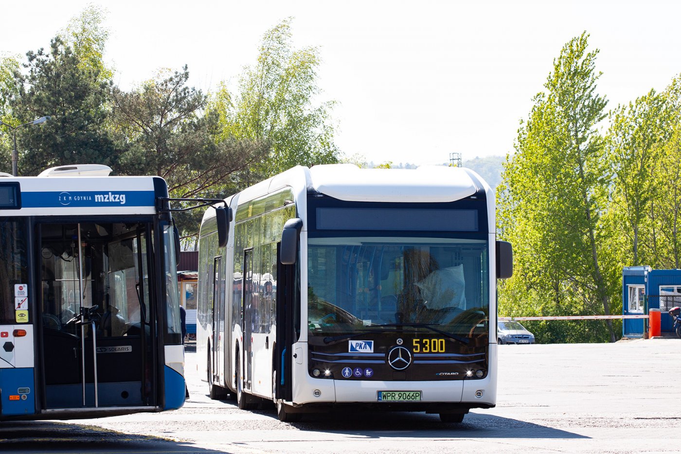 Linia autobusowa 185 wraca na stałą trasę. Fot. FB/ZKM Gdynia 