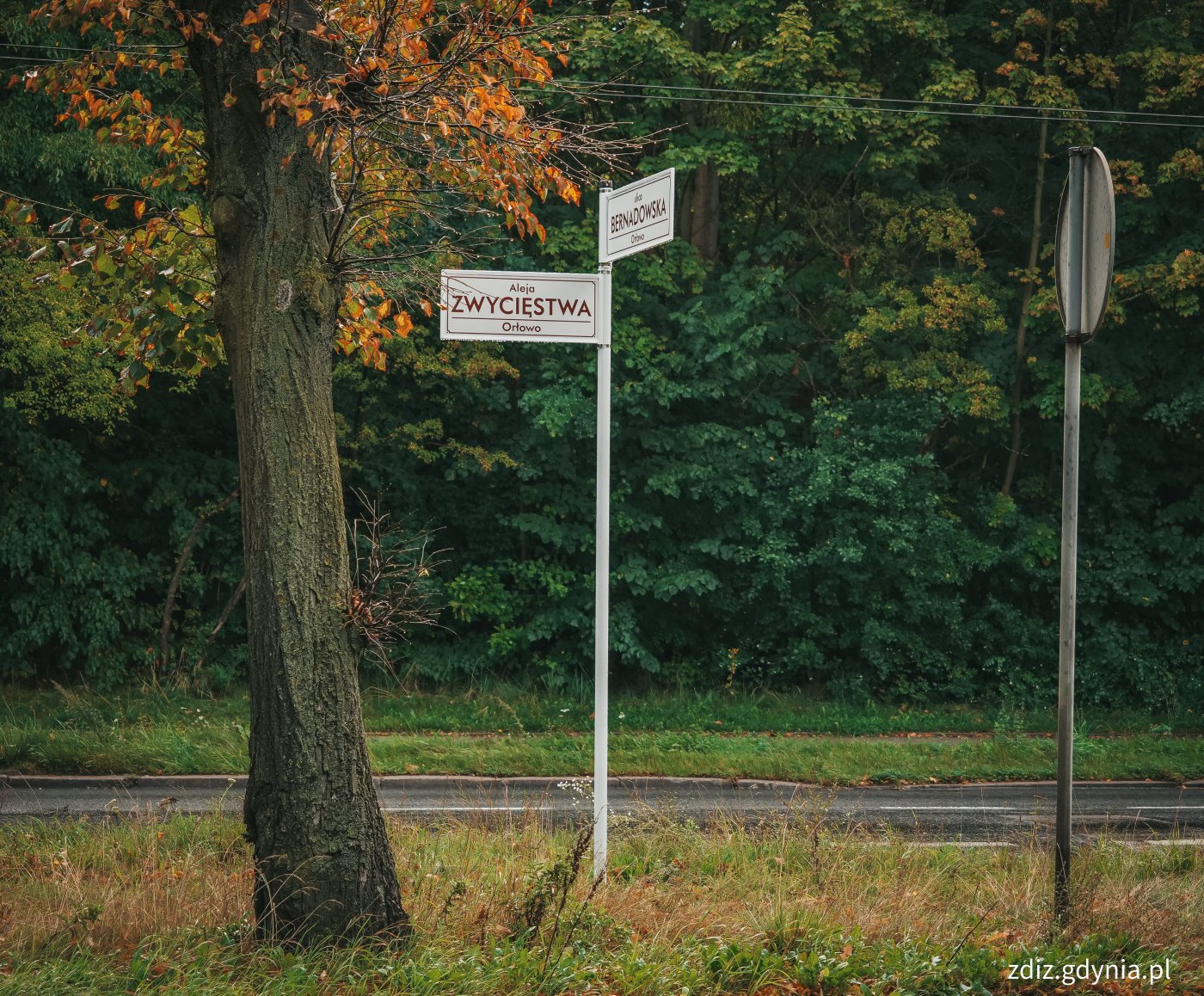 oznakowanie z nazwami ulic, w tle zieleń i droga