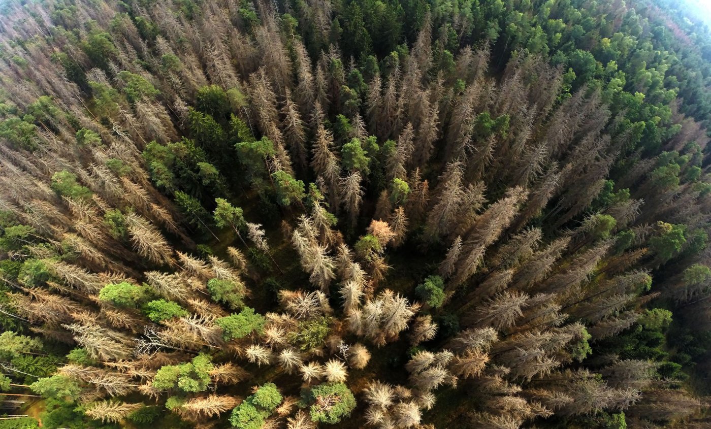 Gdynia pracuje nad planem adaptacji do zmian klimatu. Fot. Ministerstwo Środowiska