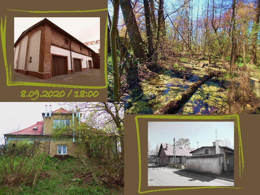 Najciekawsze zakamarki Gdyni pokaże w formie online Michał Miegoń - pasjonat miasta, pracownik Muzeum Miasta Gdyni, fot. facebook.com/BibliotekaGdynia