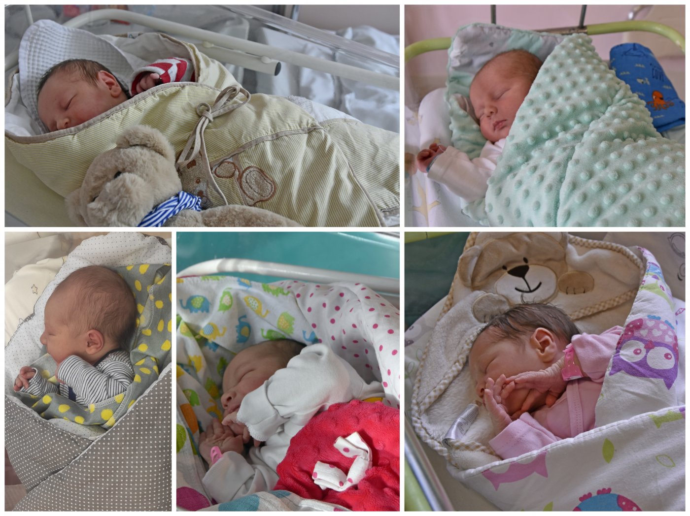 Joachim, Witold, Adam, Alicja Magdalena i Malwina - mali gdynianie urodzeni w święto miasta // fot. materiały prasowe