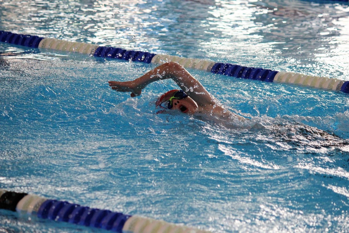 W klubie KS Delfin trenują młodzi gdynanie. fot. mat. prasowe KS Delfin Gdynia/archiwum