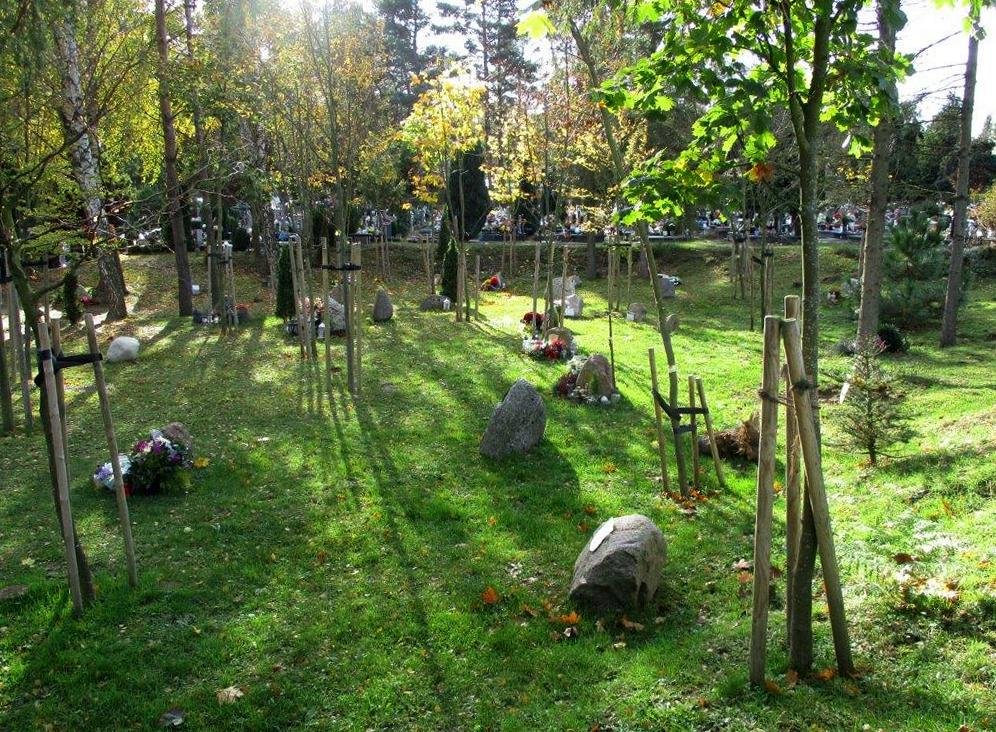 Kwatera leśna ma zielone podłoże, jest otoczona drzewami, a nagrobki to... głazy narzutowe, fot. Zarząd Cmentarzy Komunalnych w Gdyni