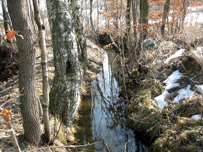 fot. Michał Miegoń