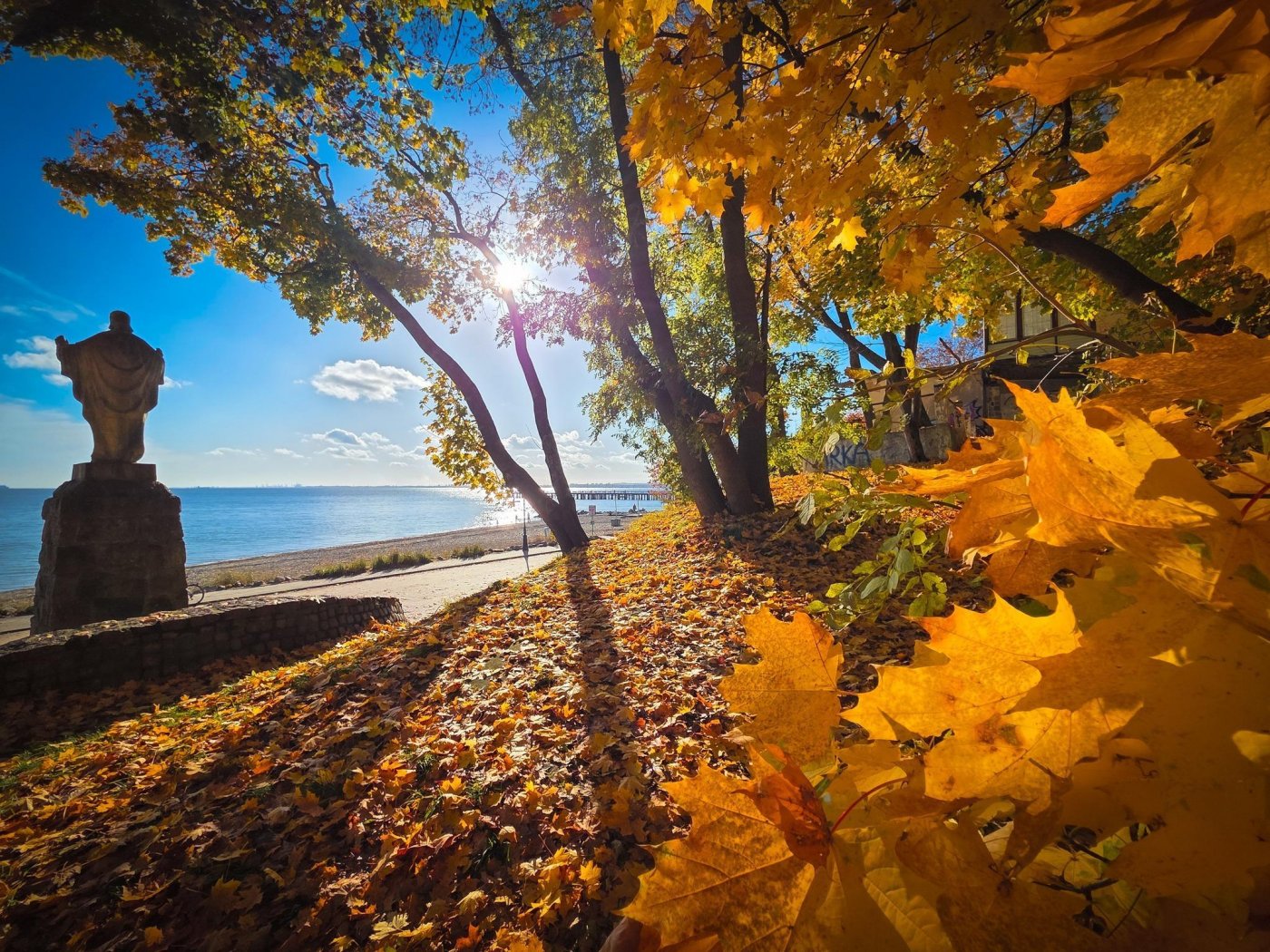 W Gdyni jesień w pełni. Zdjęcie z naszej grupy na FB „Gdynia w obiektywie