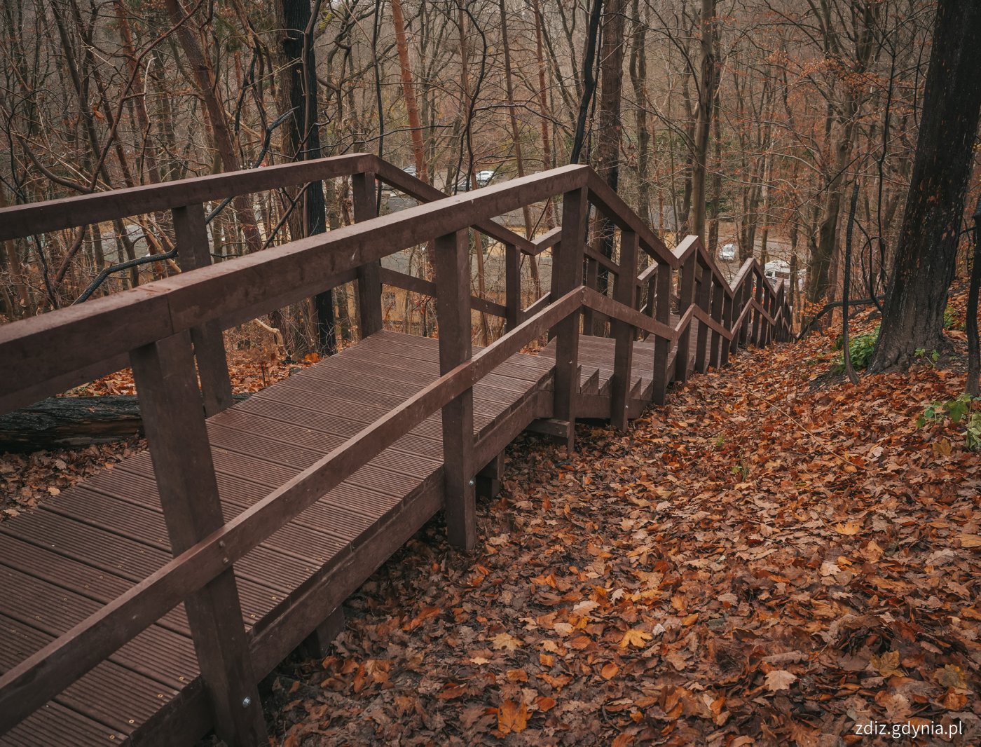 Odbudowane schody na Babich Dołach (fot. Marcin Mielewski)
