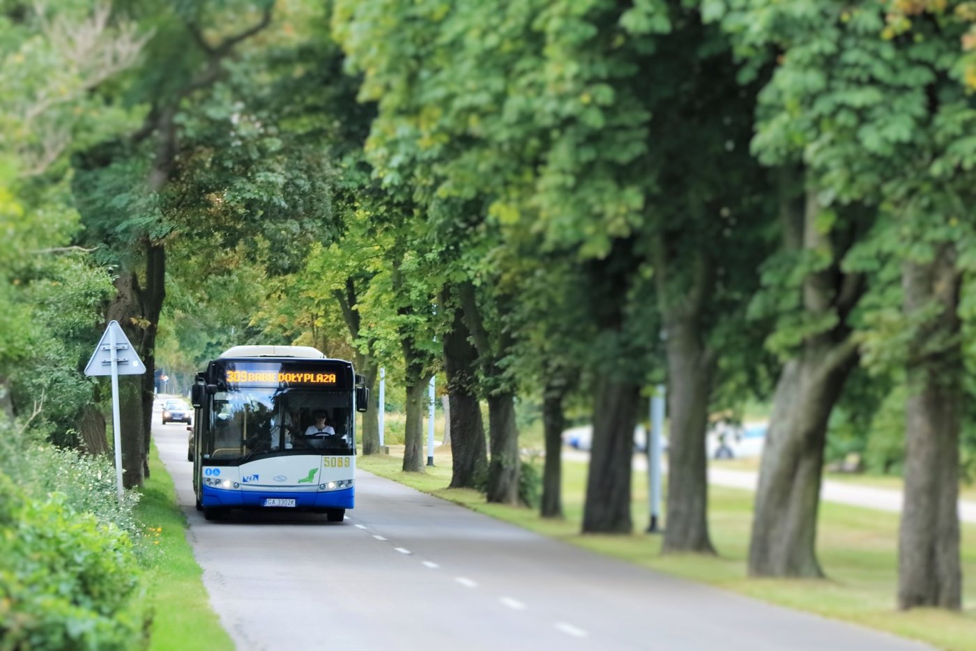 fot. ZKM Gdynia (facebook.com/ZKMGdynia)