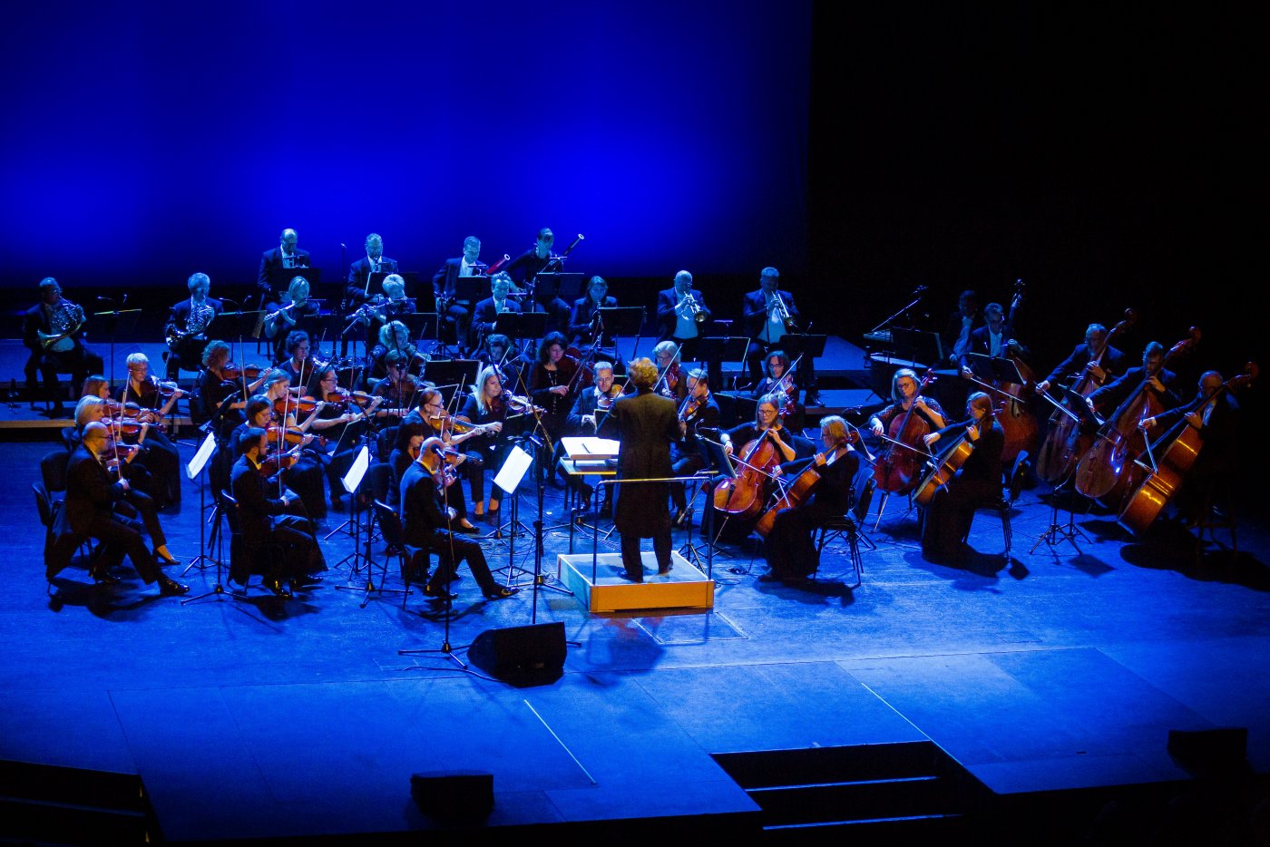 Koncert finałowy festiwalu Gdynia Classica Mozart // fot. Anna Rezulak