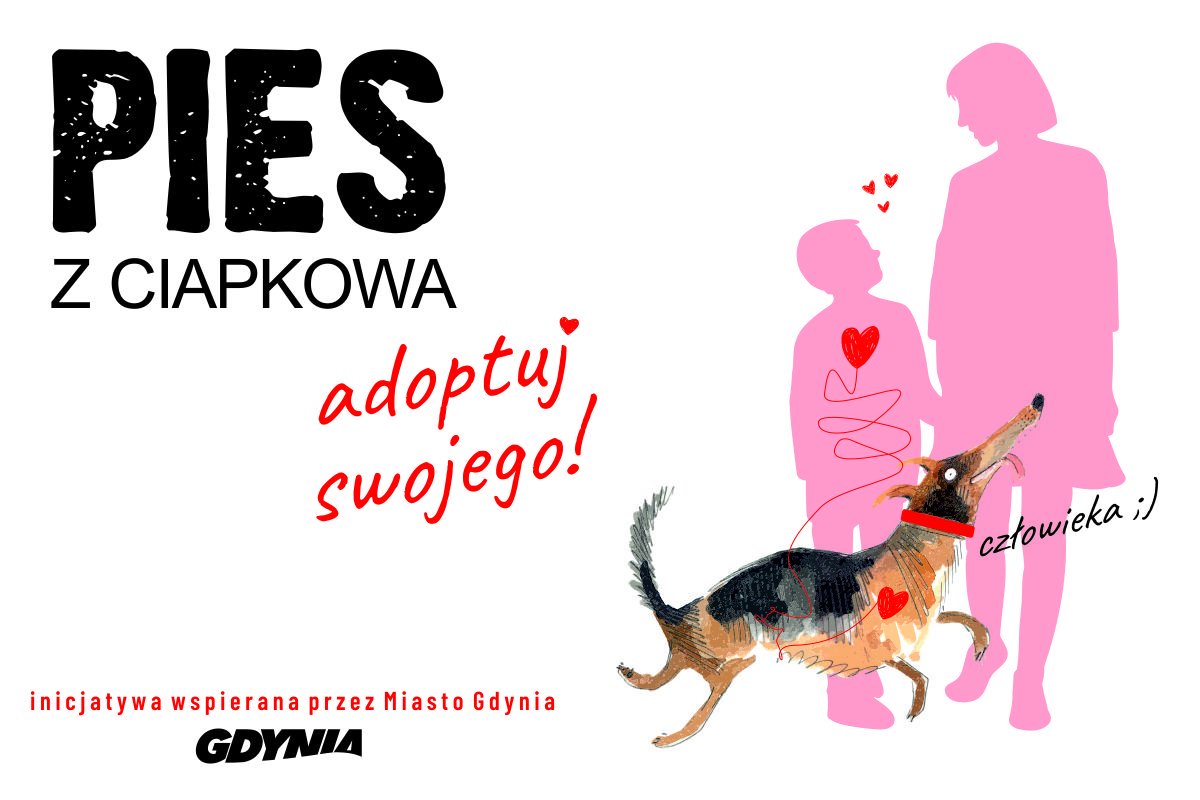 Poznaj, pokochaj i adoptuj (grafika: Marta Toczek i Zofia Różycka)