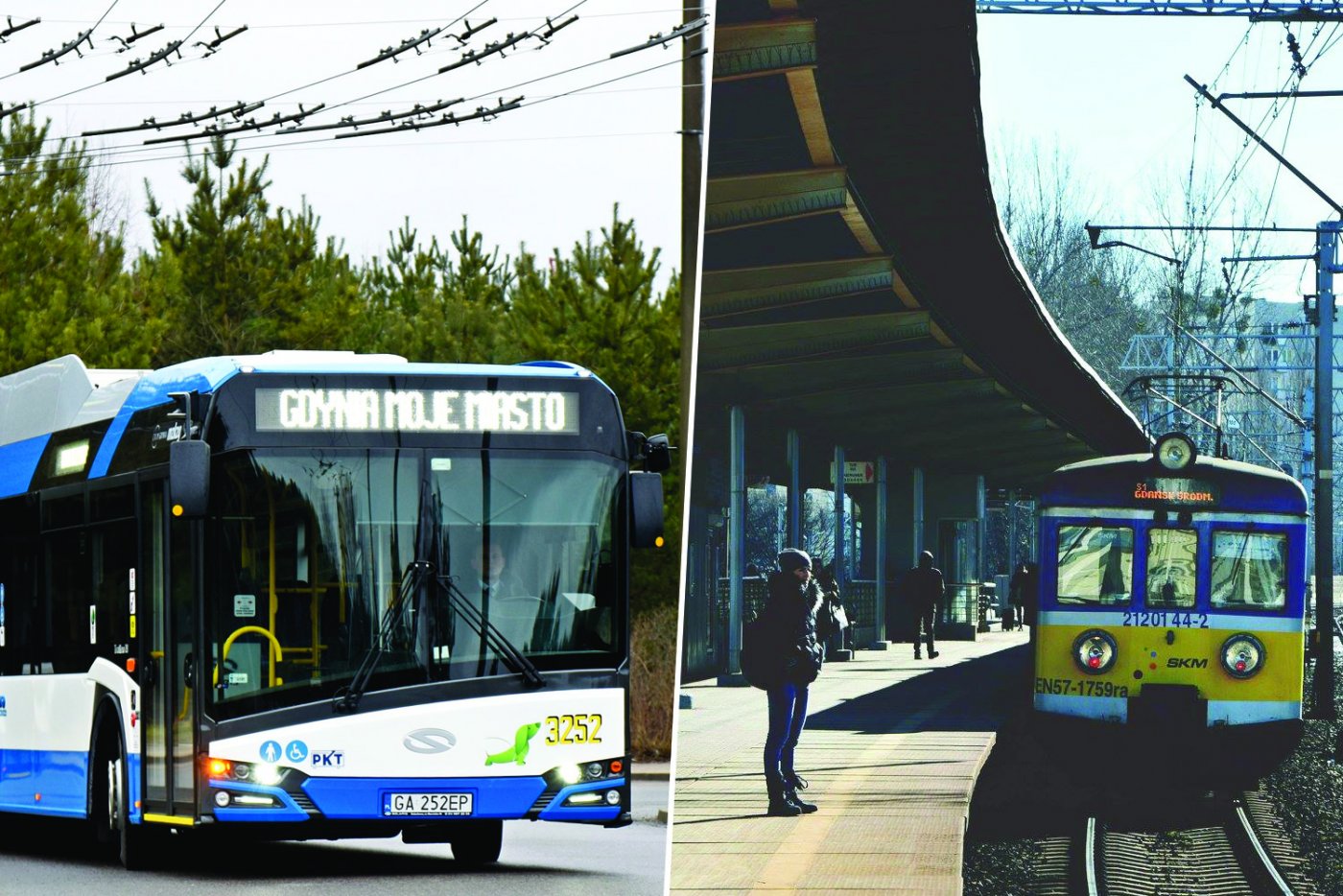 Zdjęcie podzielone na pół. Po lewej stronie trolejbus przegubowy Solaris Trollino w biało-niebieskich barwach. Po prawej stronie pociąg SKM Trójmiasto wjeżdżający na stację. Pociąg ma barwy niebiesko-żółte.