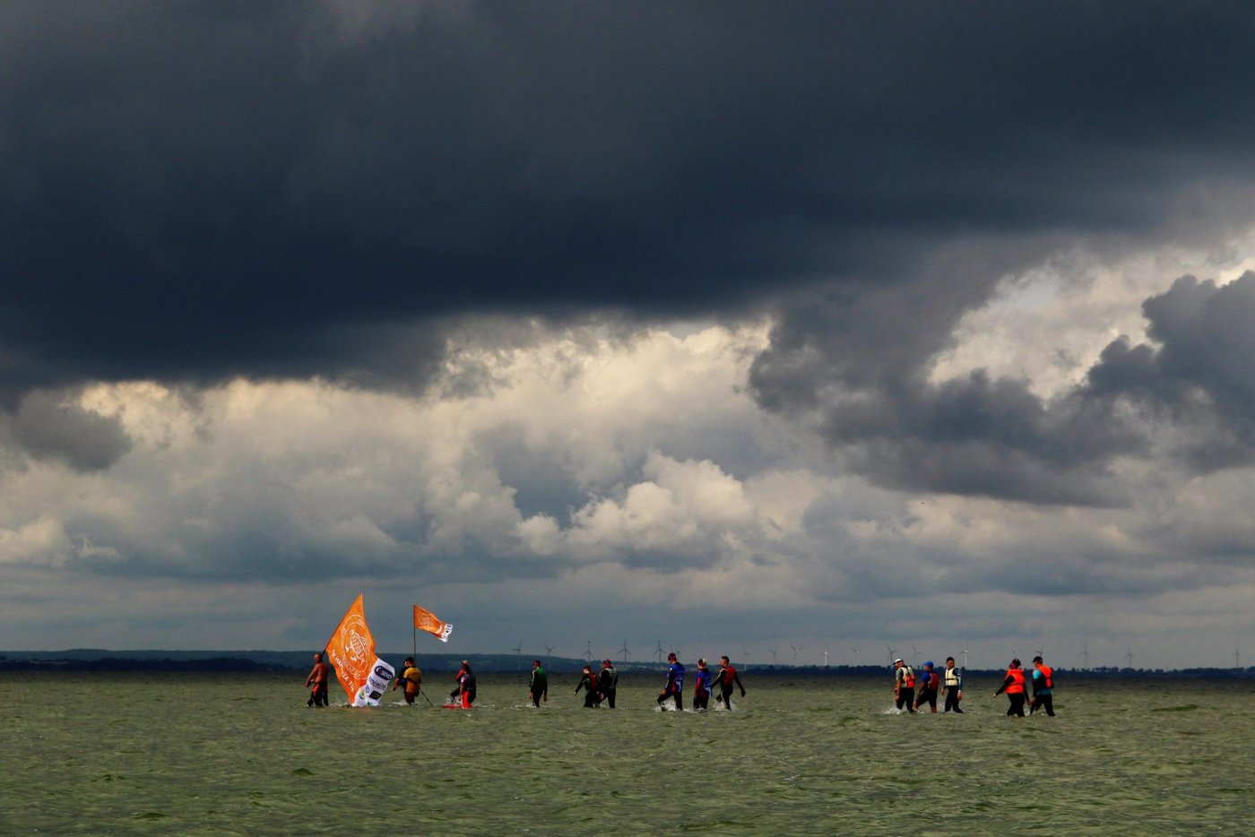 Marsz Śledzia 2017 r. // fot. www.facebook.com/marszsledzia