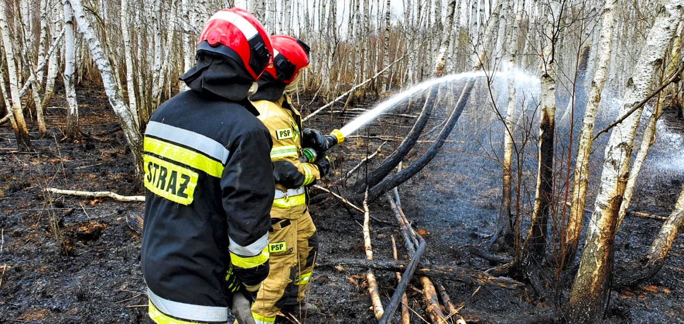 Gdyńscy strażacy gasili Biebrzański Park Narodowy // mat.prasowe Komendy Wojewódzkiej Państwowej Straży Pożarnej