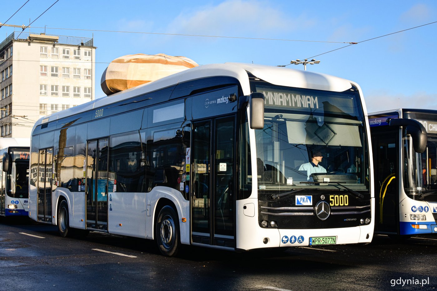 Biały autobus marki mercedes  materiałowym pączkiem na dachu, stoi obok innego autobusu. W tle budynek