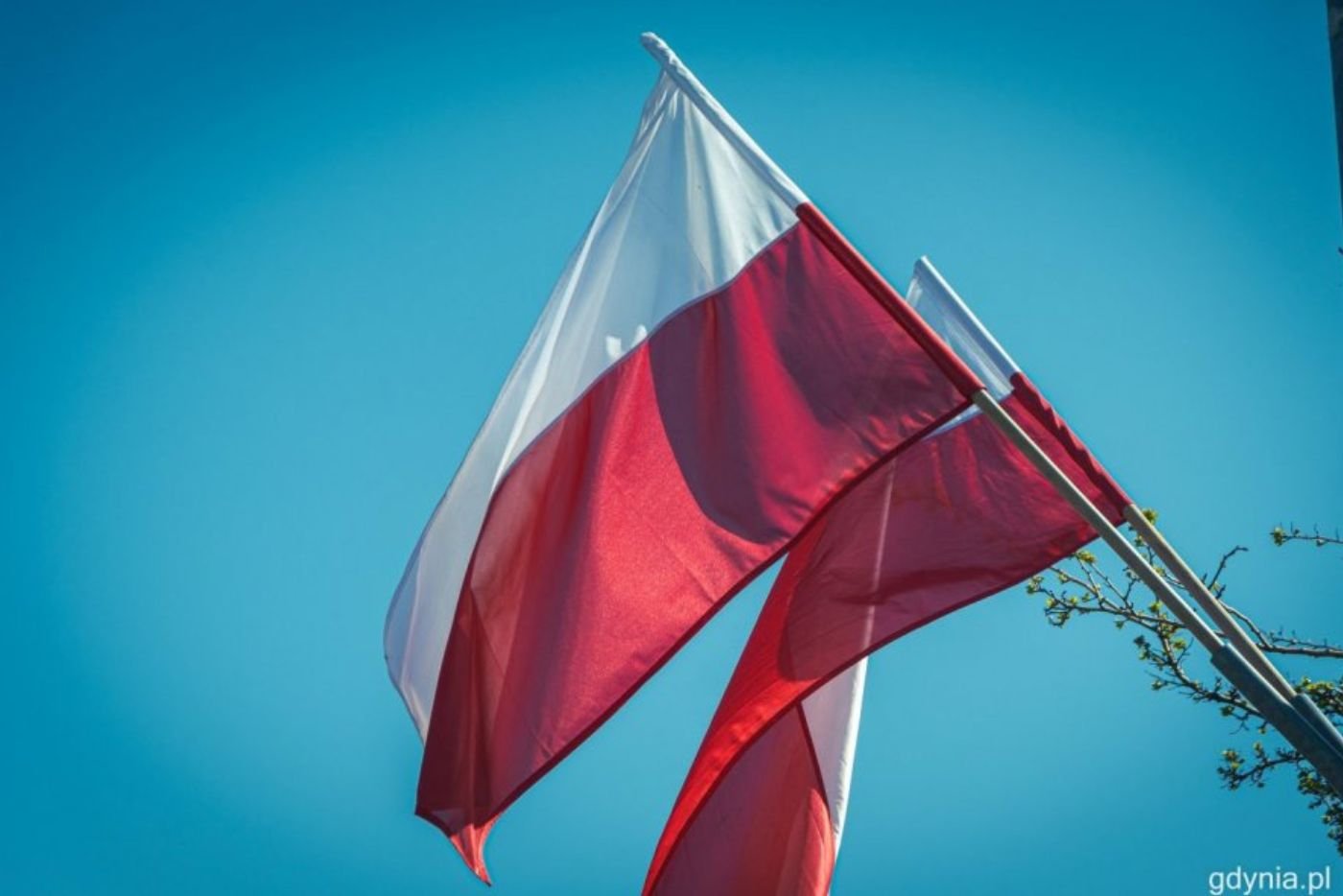 Flagi państwowe (fot. Kamil Złoch // zdjęcie archiwalne)