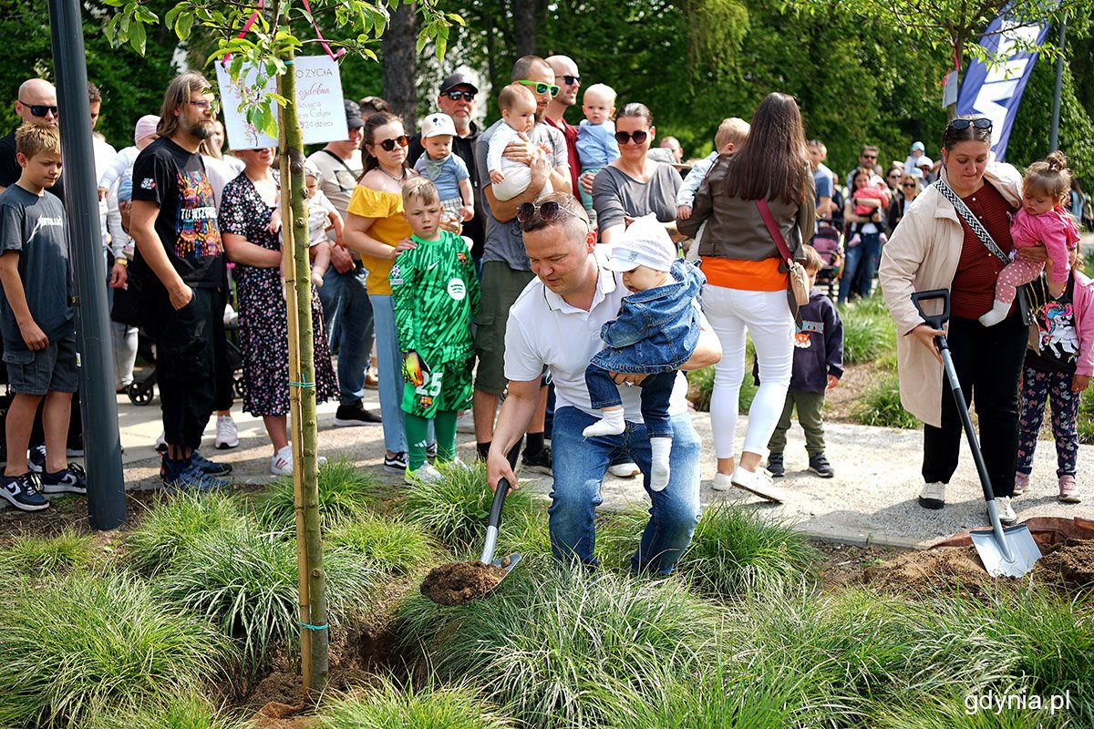 Rodzice małych gdynian podczas sadzenia Drzewka Życia w Parku Centralnym (fot. Mirosław Pieślak)