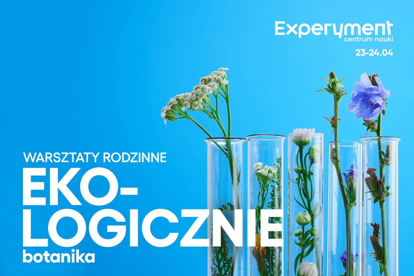 Obrazek przedstawia rośliny w probówkach na niebieskim tle. W lewym, dolnym rogu widnieje duży, biały napis 