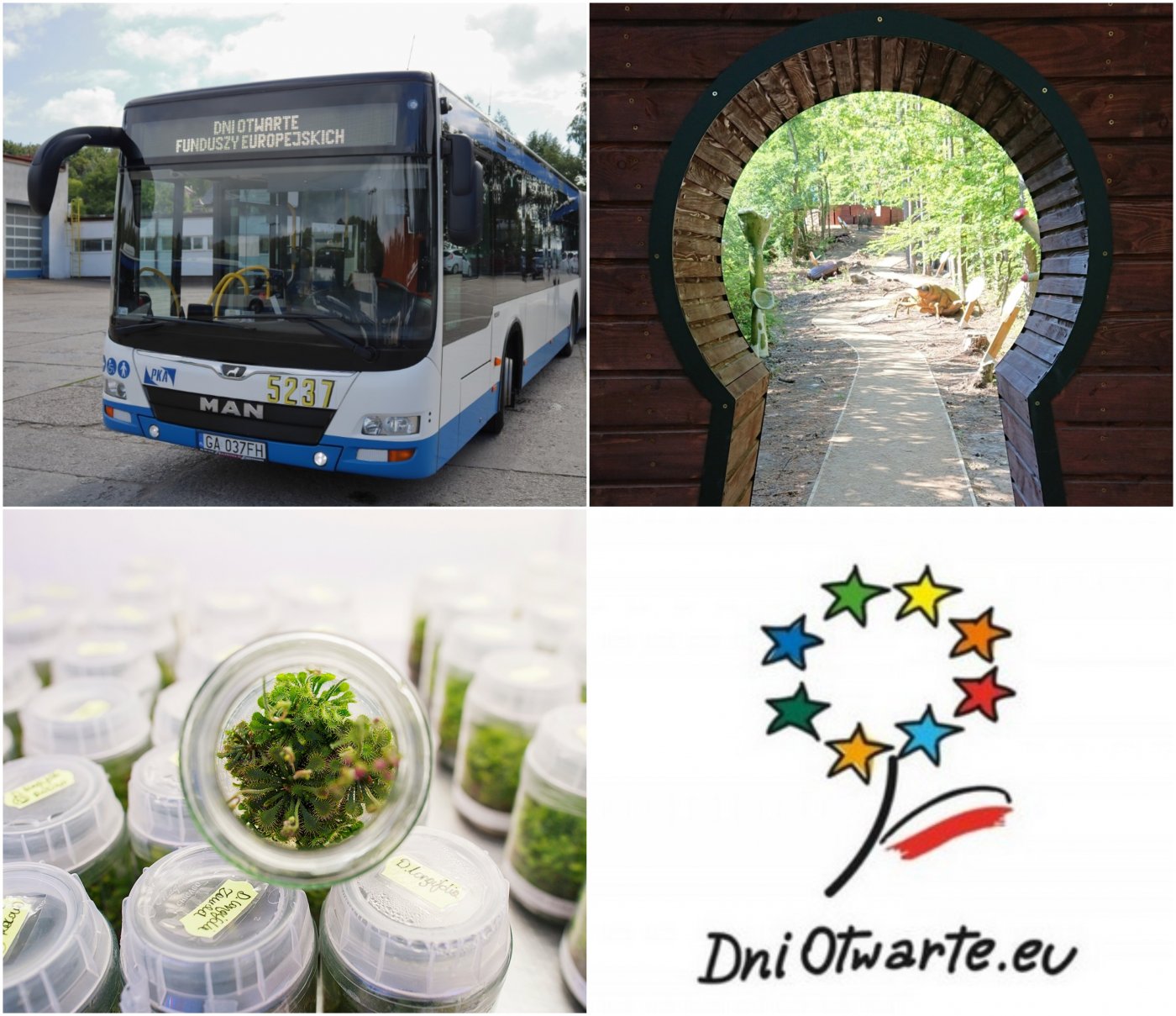 Kolaż zdjęć prezentujących wybrane atrakcje przygotowane z okazji Dni Otwartych Funduszy Europejskich. U góry po lewej: zwiedzanie zajezdni autobusowej. U góry po prawej: zwiedzanie Leśnego Ogrodu Botanicznego „Marszewo”. Na dole po lewej: warsztaty w Biolaboratorium PPNT Gdynia. Na dole po prawej: logo Dni Otwartych Funduszy Europejskich // materiały prasowe