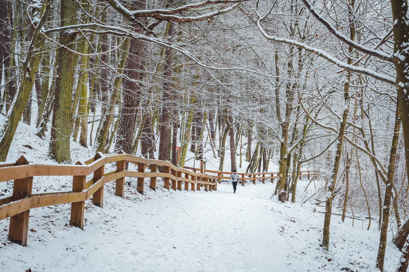 Piesza inwestycja w pasie nadmorskim już gotowa, fot. #dzielnicewGdyni