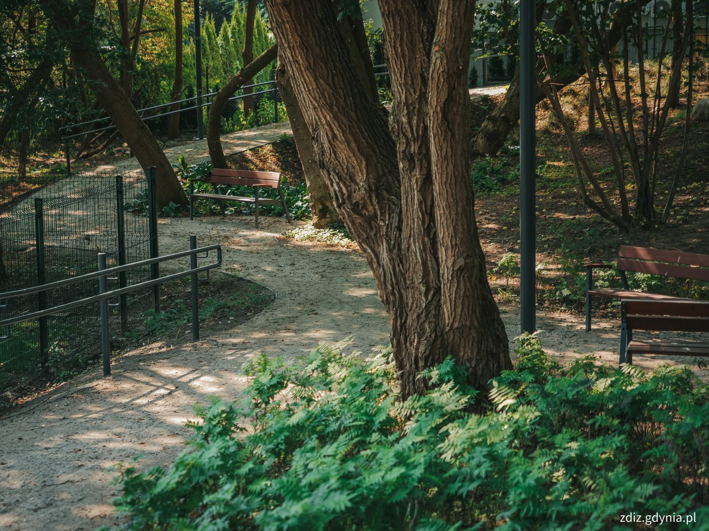 widok na park ze ścieżkami, ogrodzeniem, ławkami i zielenią.