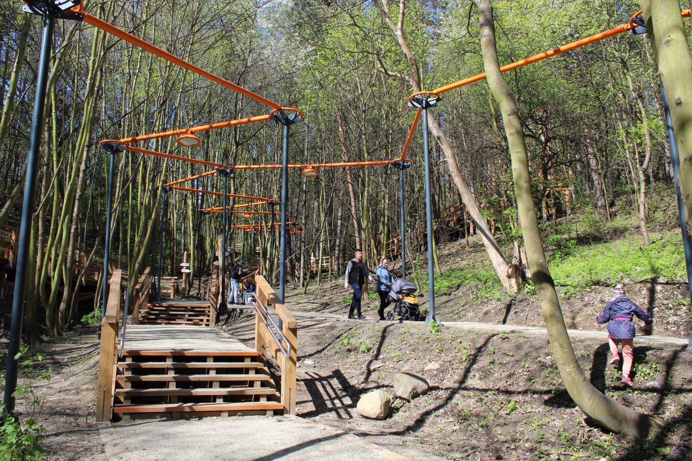 Park Leśny, na Okswiu fot. LIS