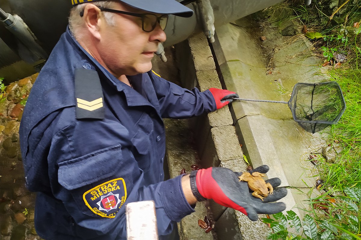 Fot. Eko Patrol Straży Miejskiej w Gdyni