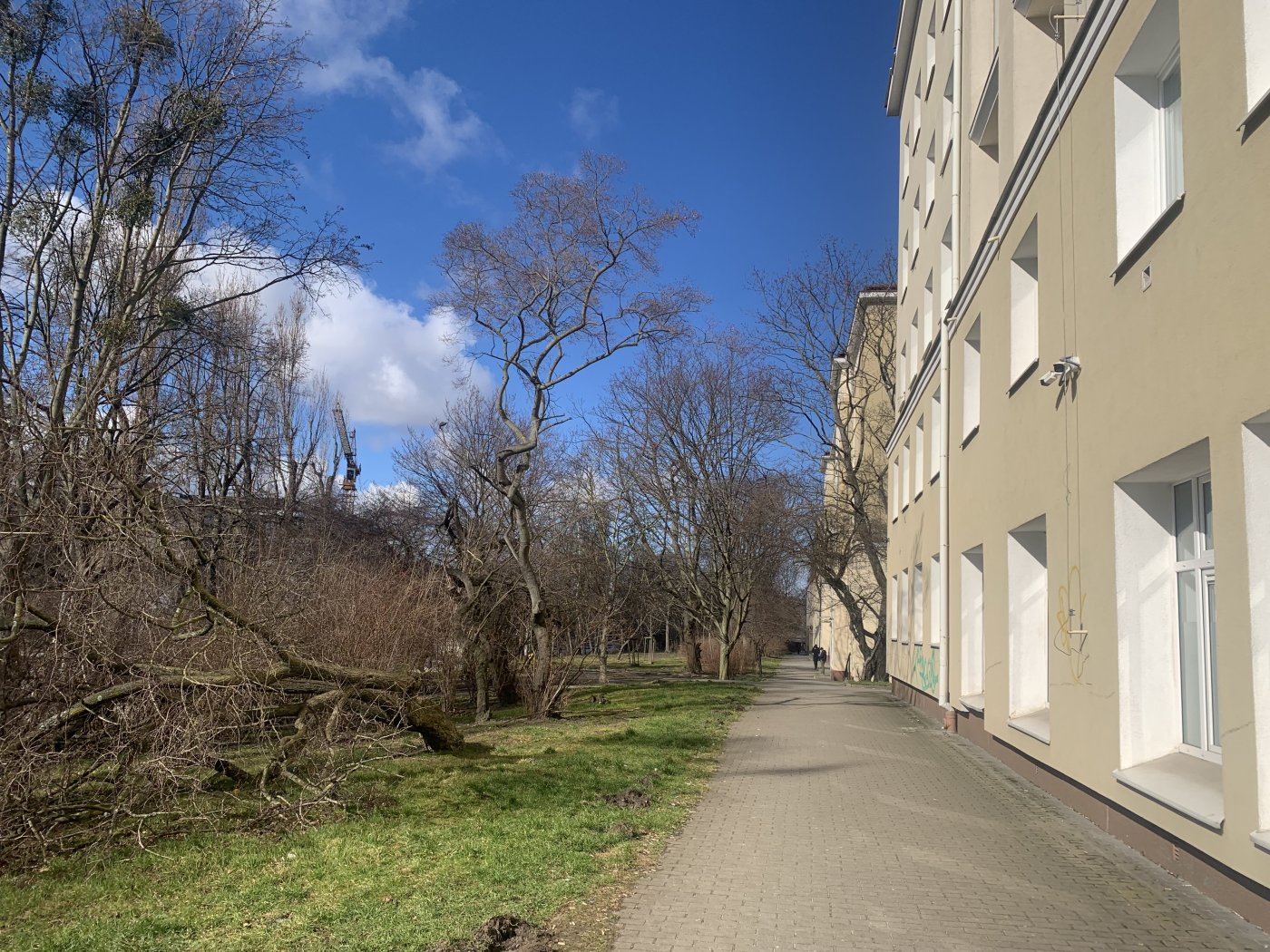 Fragment ciągu pieszego: wzdłuż al. Zwycięstwa od ul. Harcerskiej do Biblioteki Wzgórze (fot. D. Matejczyk)
