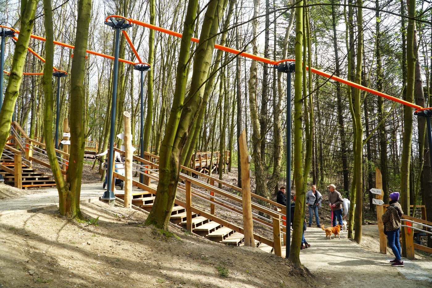 Park Leśny na Oksywiu (fot. LIS)