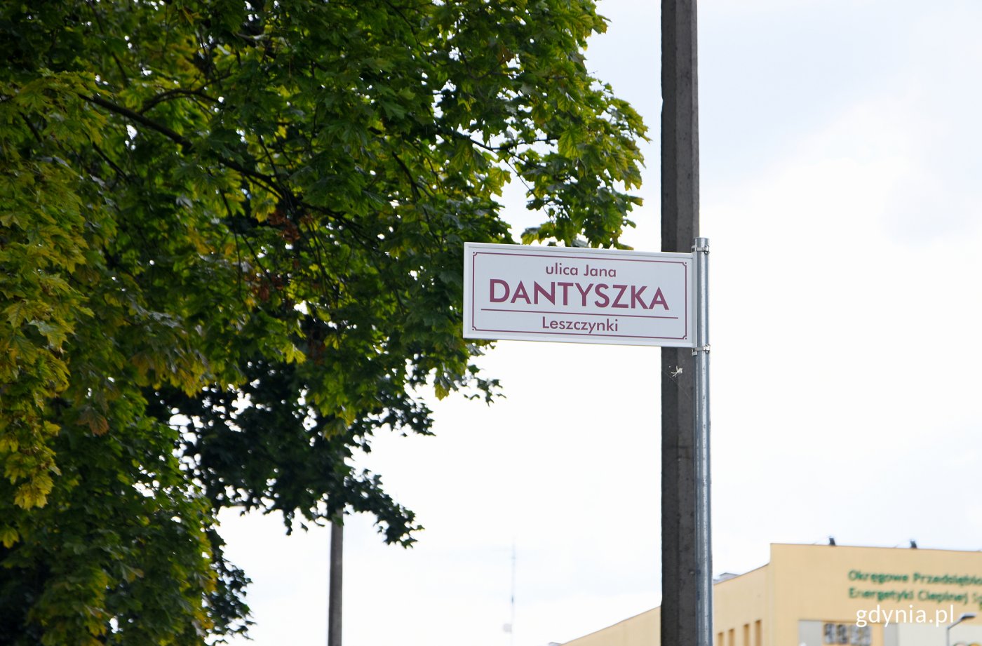 Projekt dotyczy terenu zielonego przy ul. Dantyszka, fot. Sławomir Okoń