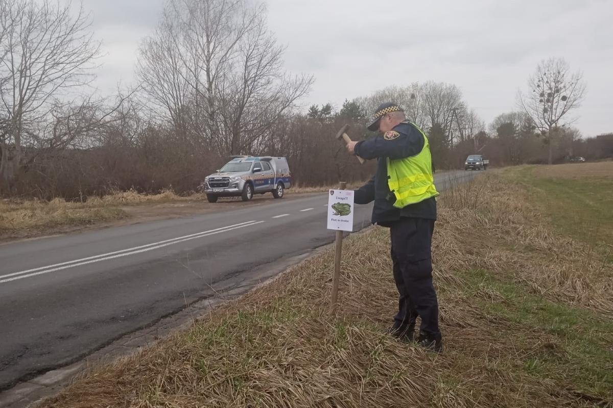 materiały Straży Miejskiej